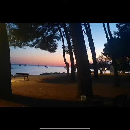 Sija Novigrad * Novigrad (Istria)