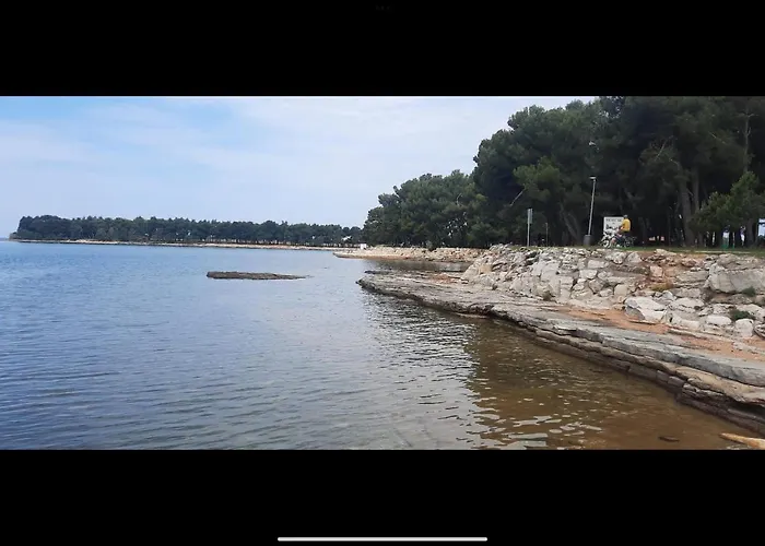 Sija Novigrad Новиград