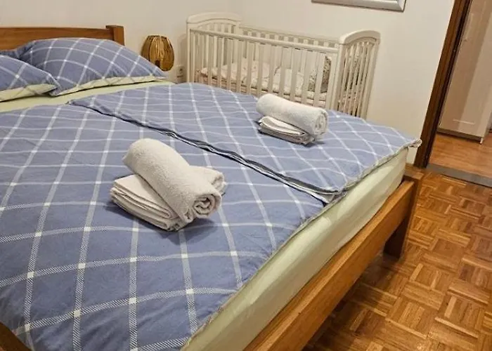 Sija Novigrad Новиград